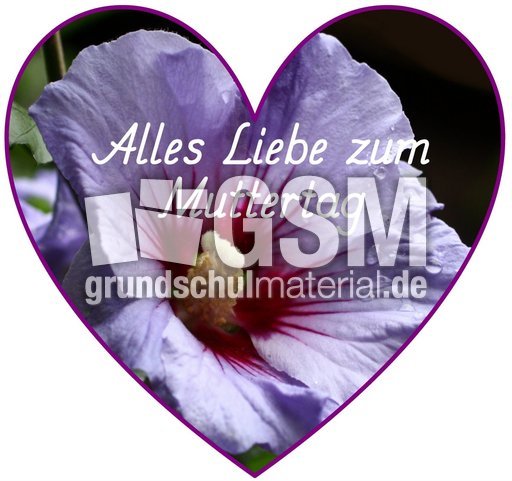 Herz-Foto-Muttertag_35.jpg